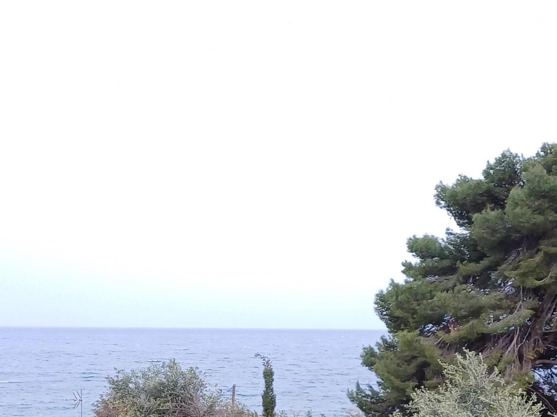 Flora Studios Corfu - Adults Only Benitses  Camera foto